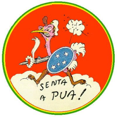 Senta a Pua: FAB na Segunda Guerra Mundial - Fatos Militares